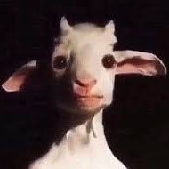 JeremyDaGoat4's profile picture. rico pet