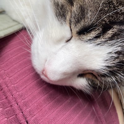 a_shani_'s profile picture. 🚨$20 Initial Tribute🚨| CO College Findom Brat | Age: 20 | Cashapp: $audrem0x 💕