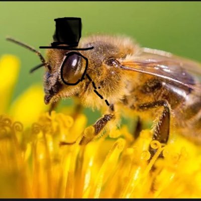 bee63891584 Profile Picture