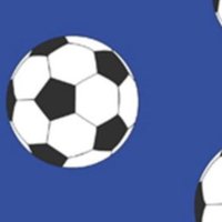 LYC1980 (@junior24675941) 's Twitter Profile Photo