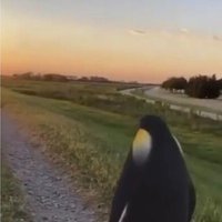 Michael (@natediazisking) 's Twitter Profile