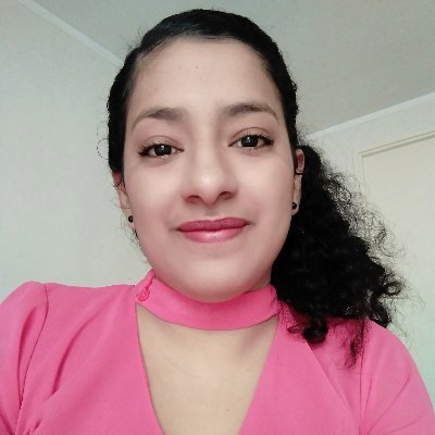 PhD student in Computer Science, University of Chile