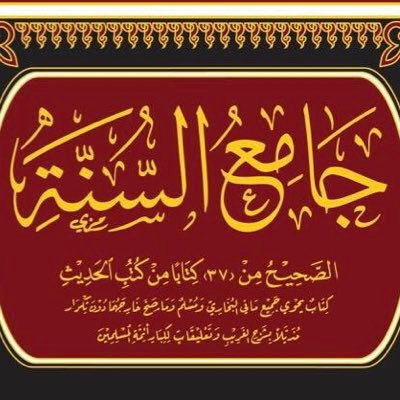 ‏كتاب يحوي جميع مافي البخاري ومسلم وما صحّ خارجهما دون تكرار.