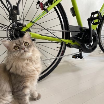 ubermenu73's profile picture. 都内在住OL✌︎ハロプロ取引垢