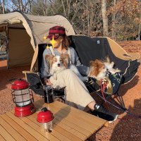 ぴ~ちゃん🐥ﾍｨ!ﾍｨ!(*Ü*) (@chocomil_wanday) Twitter profile photo