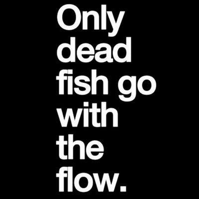 OniSazo's profile picture. a terrible trader