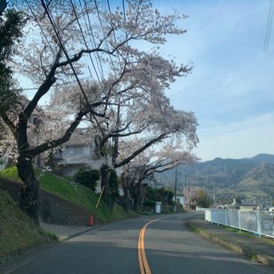 dW53hh4b5Rn93W7's profile picture. 生活の中のちょっとしたお困り事の手助けにっ 買い物代行。家事代行。暇だからドライブ行きたい。 代金は2000〜＋α こんな事頼めるのかな？ できる限り頑張りますので気になる事があればお気軽に御相談下さい！   #秦野市#代行業#仕事依頼