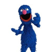 oriolepete (@oriolepete) 's Twitter Profile Photo oriolepete (@oriolepete) 's Twitter Profile Photo