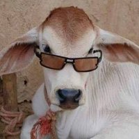 கன்னுகுட்டி (@sambathkavya) 's Twitter Profile