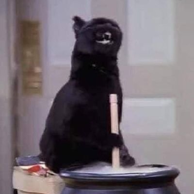 angebp10's profile picture. Gato polifacético - depresivo - psicoseado -  alérgico