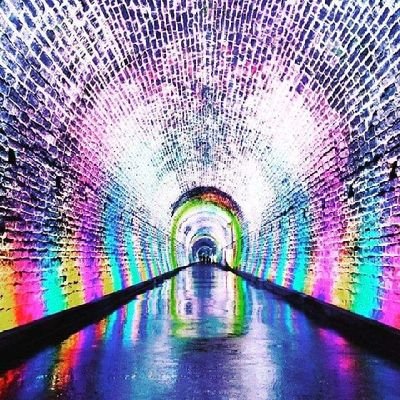 The Brockville Railway Tunnel is open June 11, 2021 for the season. 9am-9pm daily, including holidays. All covid protocols, including masks, must be followed.