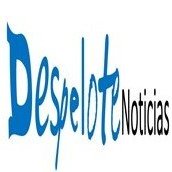 Despelote noticias(@DespeloteN) 's Twitter Profile Photo