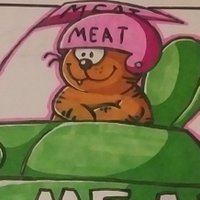 Meat Tank Enthusiast(@meattankgaming) 's Twitter Profile Photo