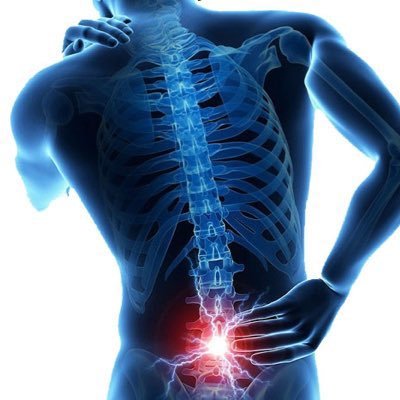 K_Miyagishima's profile picture. 専門・認定理学療法士（運動器）｜博士（保健学）｜日本腰痛学会16年連続参加（2010-2025）｜日本運動器理学療法学会評議員 & 研究推進委員会 & 多機関共同研究責任者｜北海道理学療法士会石狩支部副支部長｜当科HPはこちら → https://t.co/wPERyKDcBk｜趣味：サウナ