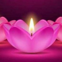 amIsrealChai (@iamanilgopher) 's Twitter Profile