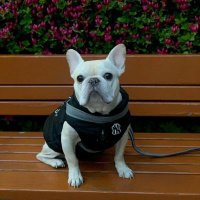 ImymemineII (@imymemineii) 's Twitter Profile