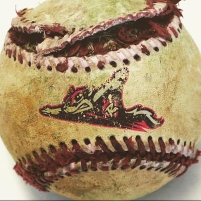 #godfamilybaseball
Richmond Flying Squirrels Travel Baseball Teams of KY
501(c)3 Travel baseball teams located in Central KY
Richard Brian Cook, Founder