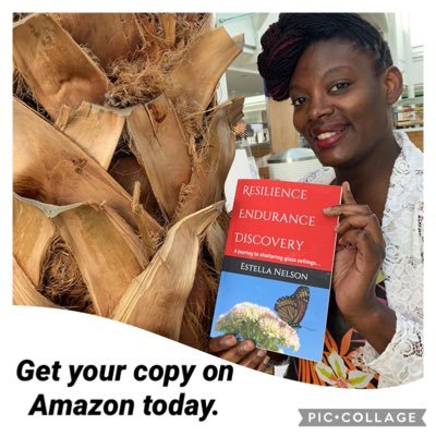 Dionne061386's profile picture. Firm believer that every child is packed with potential & can achieve regardless of their background/situation #Christian #CentreLead #AP #Mom All views my own