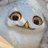 NanfaSsi's profile image