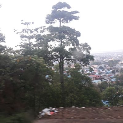 Loelu7's profile picture. Happy