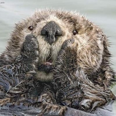 firdhafaa's profile picture. Hello world 😌