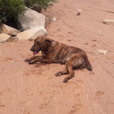 Gee93257136's profile picture. African heart