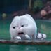 thôi xin đấy loài người :)) (@deritmizlp) Twitter profile photo thôi xin đấy loài người :)) (@deritmizlp) Twitter profile photo