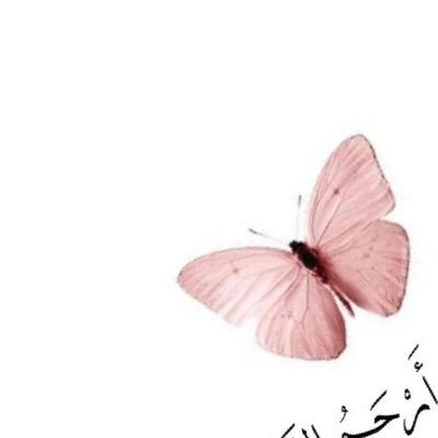 asoory_noory's profile picture. 