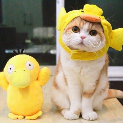 calisa25's profile picture. 