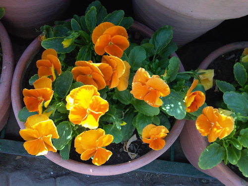 future66's profile picture. serious amateur photography, reading music all kinds human rights sufism