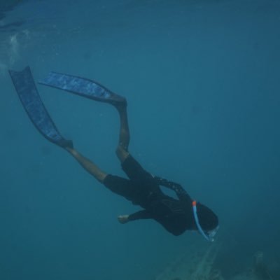 KGNINJA2's profile picture. 🇲🇻