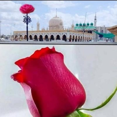 salmanraza26's profile picture. Door plaz