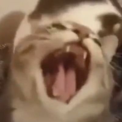 It's not 3am yet and I already see demons in my room
My social media: https://t.co/T1rdo3Z2dQ