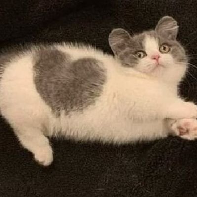 ᒚさんのプロフィール画像