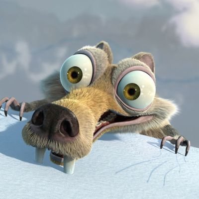 chizhikovmax's profile picture. 