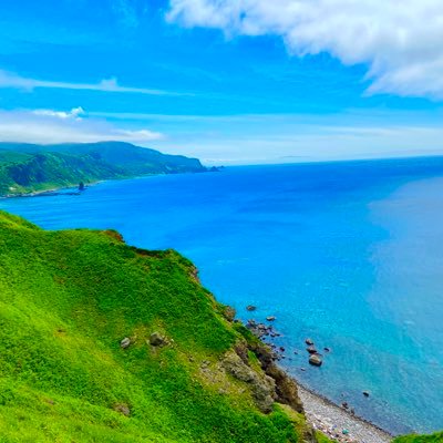 tkmkurisu's profile picture. 社会人