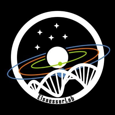 ElsaesserLab Profile