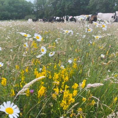 Mixed farming in Sussex. Traditional farming, backed by modern technology