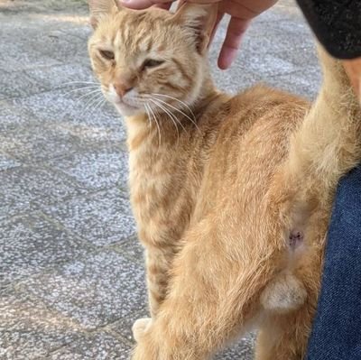 seosmyth's profile picture. chiba Ns man
ONE OK ROCKvsMY FIRST STORY参戦