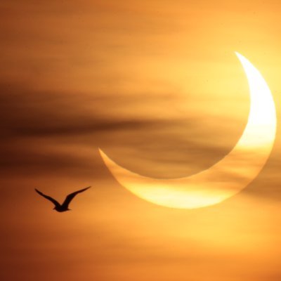 WC_Godwin's profile picture. Philomath