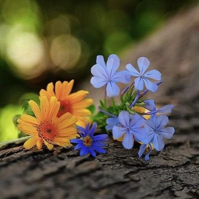 hand335's profile picture. ‏‏
 ولأن السعادة بيد الله ، نحنُ دائماً بخير..