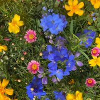 まりあんぬ (@nqmeemidstxeqsb) 's Twitter Profile