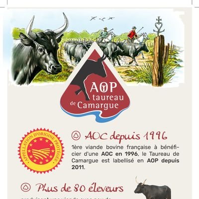 Organisme de défense de l'appellation Taureau de Camargue AOP 
Compte officiel