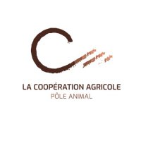 La Coopération Agricole Pôle Animal(@PoleAnimal_Coop) 's Twitter Profileg