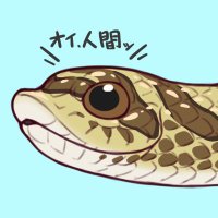 🍄（HUTAGO (@hutago31) 's Twitter Profile Photo