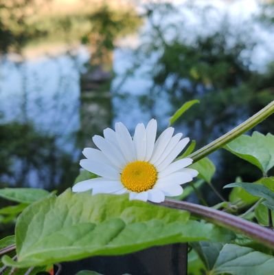 claclarividente's profile picture. Apadrina un Autónomo.