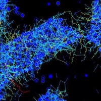 FineLab (@fineheartlab) 's Twitter Profile