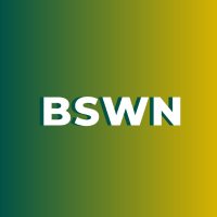 Black SW Network(@BlackSWNet) 's Twitter Profile Photo