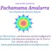 Asociación Pachamama Amalurra Elkartea (@pachamama1320) Twitter profile photo Asociación Pachamama Amalurra Elkartea (@pachamama1320) Twitter profile photo