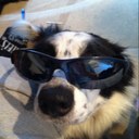 Neil Betts - @D3RFY - Twitter